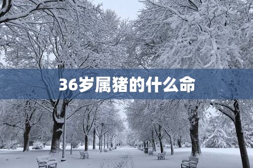36岁属猪的什么命