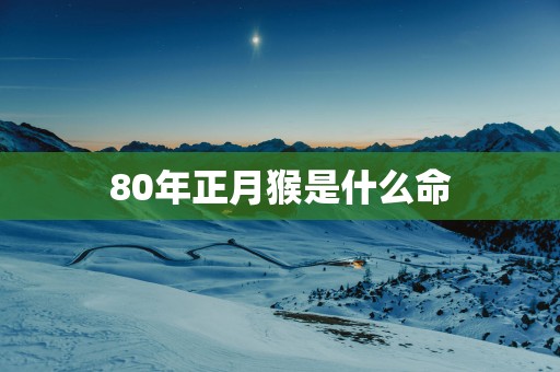80年正月猴是什么命