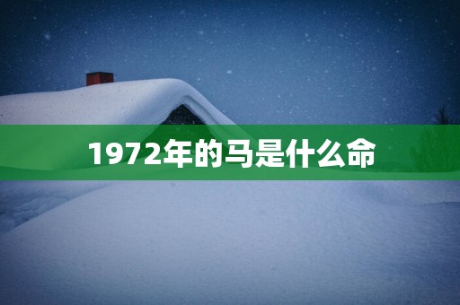 1972年的马是什么命