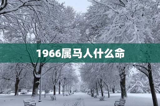 1966属马人什么命