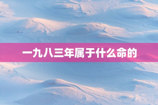 一九八三年属于什么命的