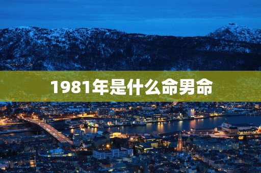 1981年是什么命男命