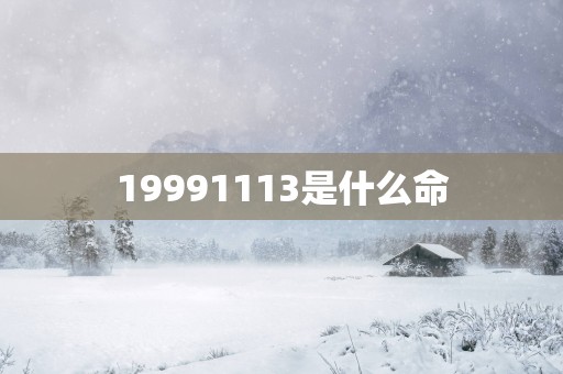 19991113是什么命