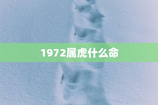 1972属虎什么命