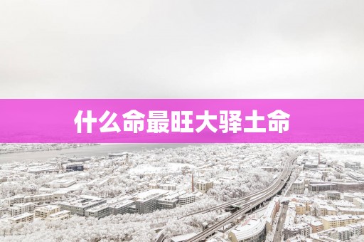 什么命最旺大驿土命