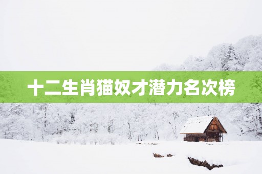 十二生肖猫奴才潜力名次榜