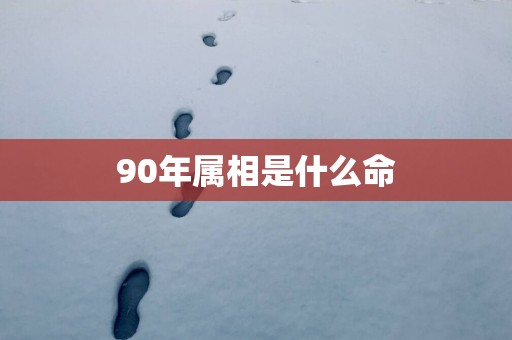 90年属相是什么命