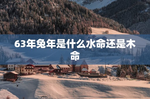 63年蛇年是什么水命还是木命