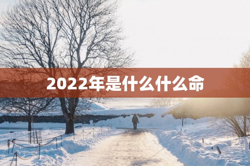 2022年是什么什么命