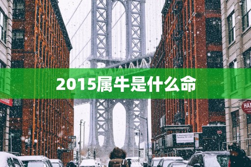 2015属牛是什么命
