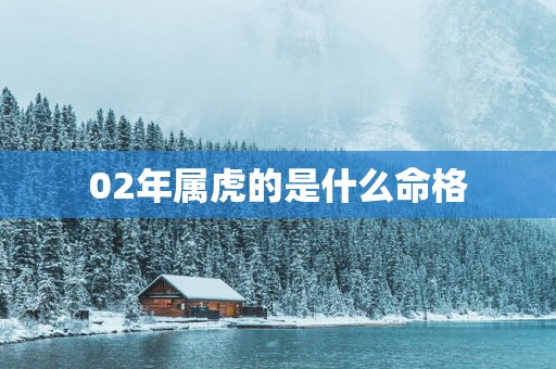 02年属虎的是什么命格