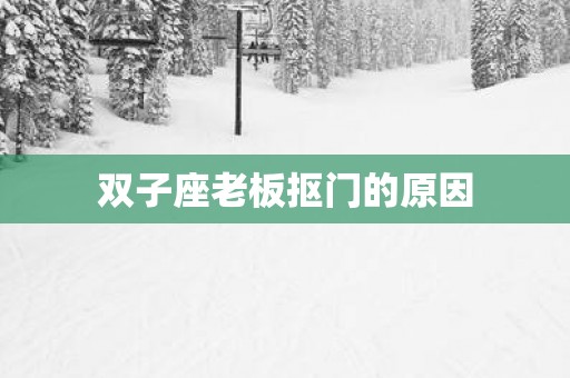 双子座老板抠门的原因
