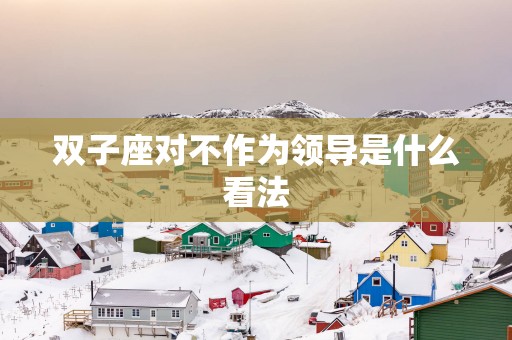 双子座对不作为领导是什么看法