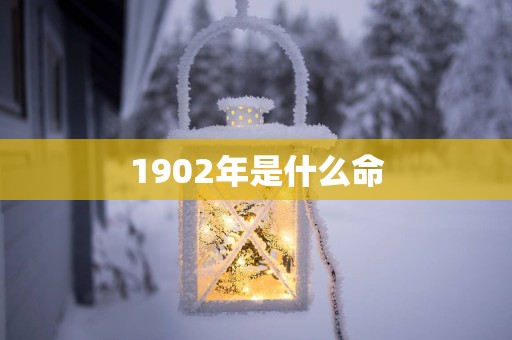 1902年是什么命