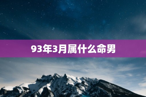 93年3月属什么命男
