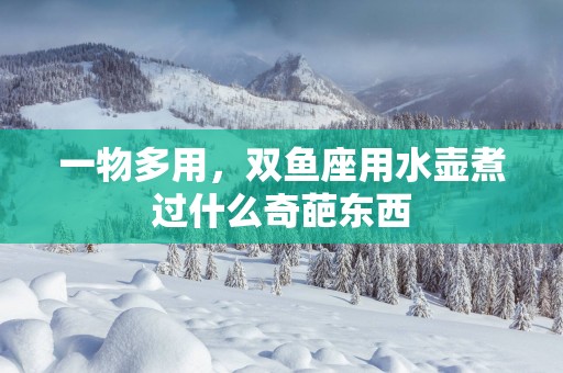 一物多用，双鱼座用水壶煮过什么奇葩东西