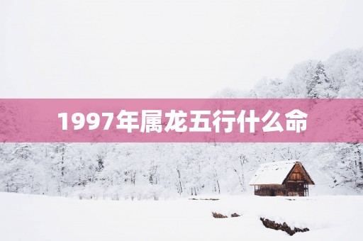 1997年属龙五行什么命