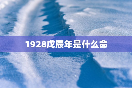 1928戊辰年是什么命