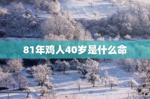 81年鸡人40岁是什么命