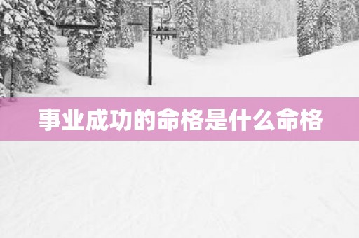 事业成功的命格是什么命格