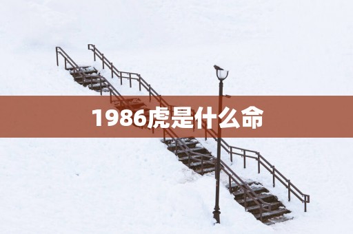 1986虎是什么命