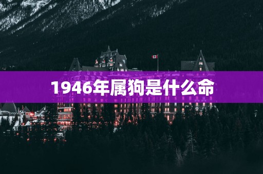 1946年属狗是什么命