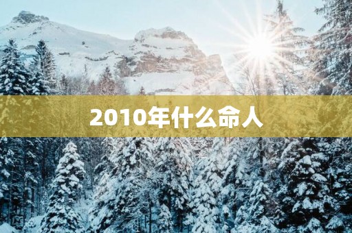 2010年什么命人