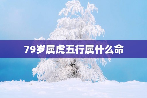 79岁属虎五行属什么命