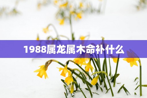 1988属龙属木命补什么
