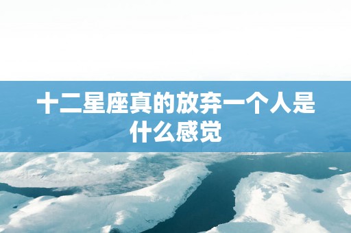 十二星座真的放弃一个人是什么感觉