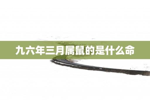 九六年三月属鼠的是什么命