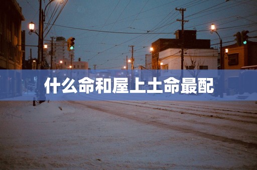 什么命和屋上土命最配