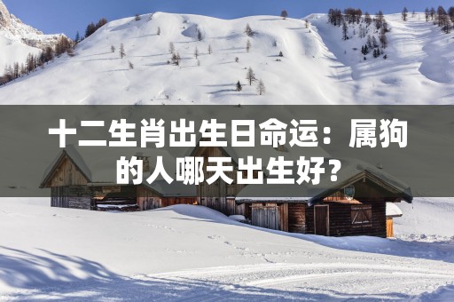 十二生肖出生日命运：属狗的人哪天出生好？
