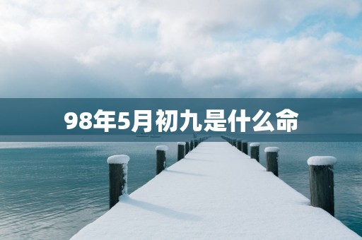 98年5月初九是什么命