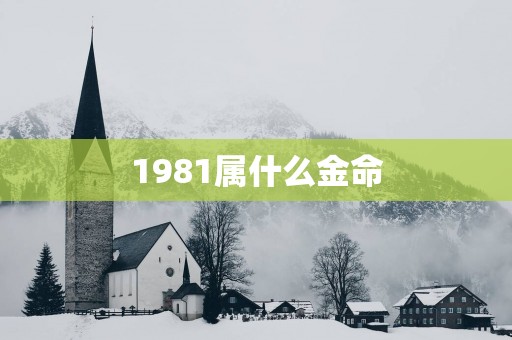 1981属什么金命