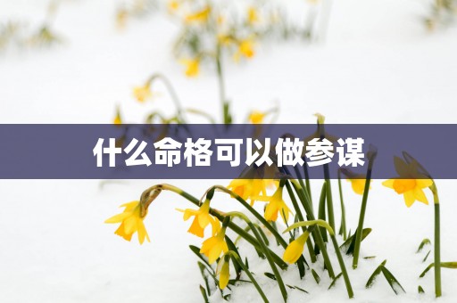 什么命格可以做参谋