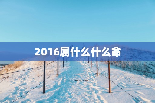 2016属什么什么命