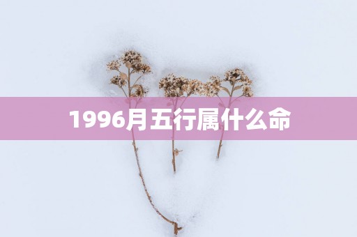 1996月五行属什么命