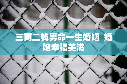 三两二钱男命一生婚姻  婚姻幸福美满