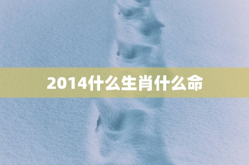 2014什么生肖什么命