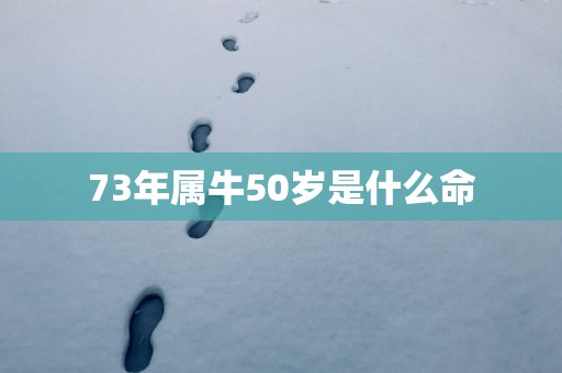 73年属牛50岁是什么命