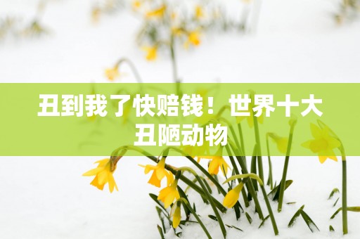 丑到我了快赔钱！世界十大丑陋动物