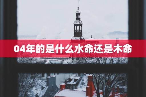 04年的是什么水命还是木命