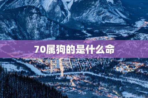 70属狗的是什么命