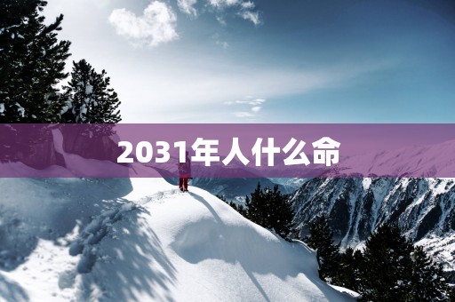 2031年人什么命