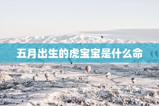 五月出生的虎宝宝是什么命