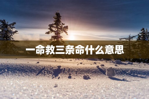 一命救三条命什么意思
