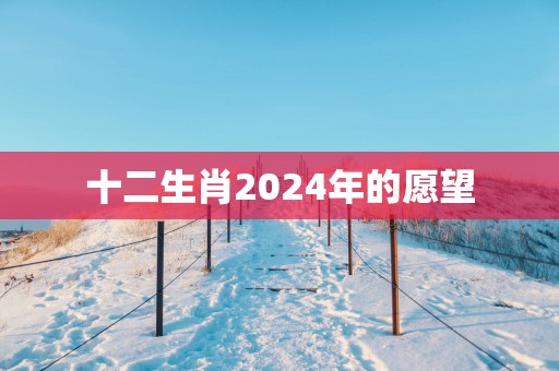十二生肖2025年的愿望
