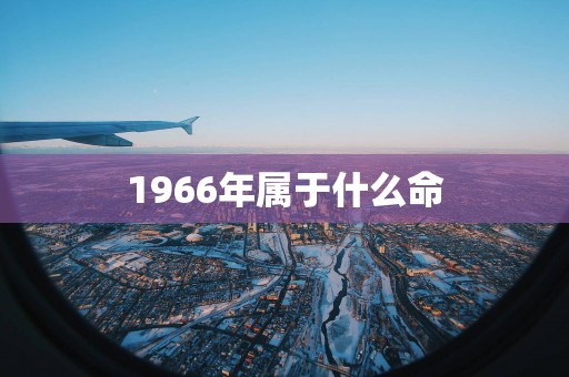 1966年属于什么命