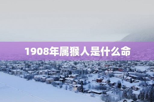 1908年属猴人是什么命